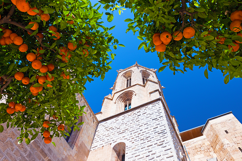 Sinaasappels in Valencia
